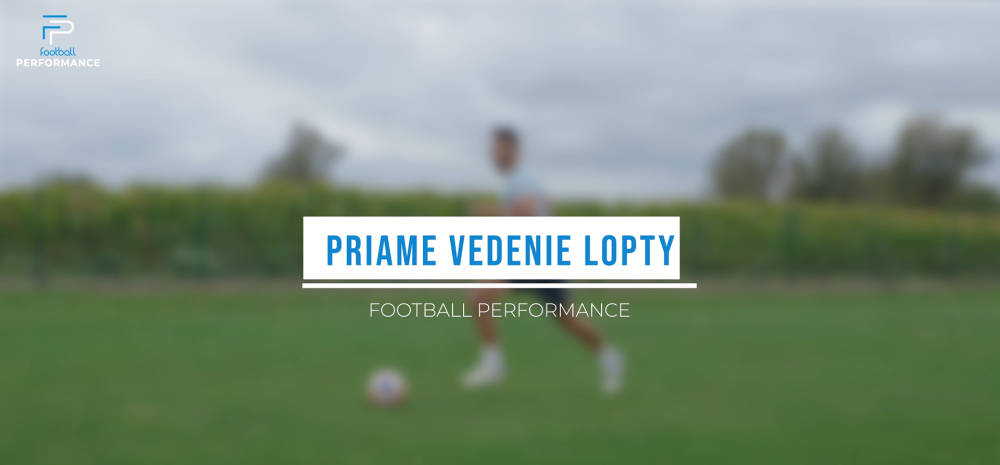 Priame vedenie